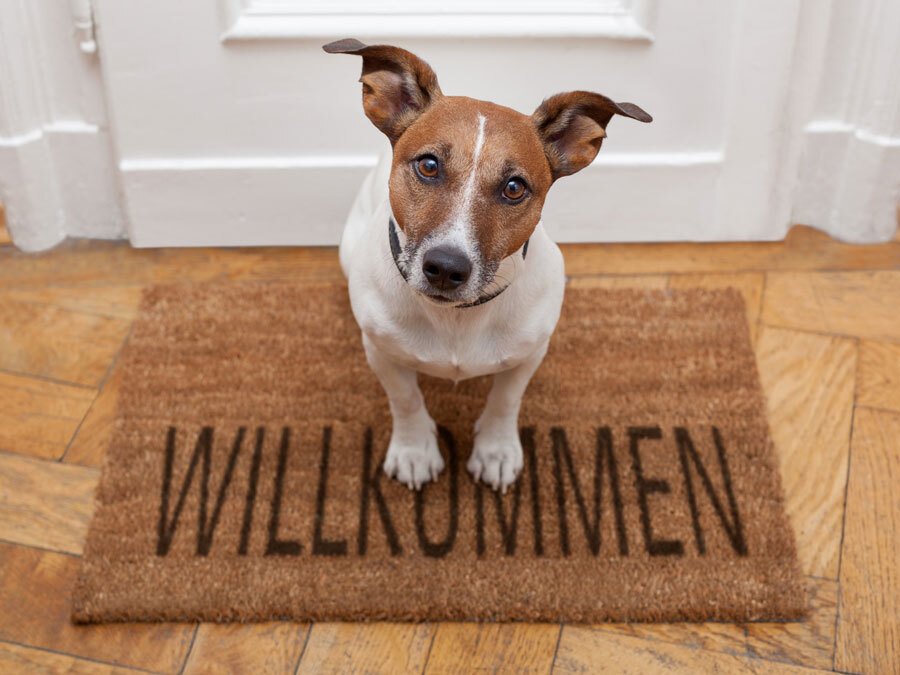 Ein Hund sitzt auf einer Fußmatte mit der Aufschrift "Willkommen" vor einer Wohnungstür. Darf der Vermieter die Haustierhaltung verbieten?